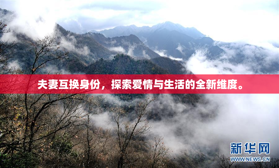 夫妻互换身份，探索爱情与生活的全新维度。
