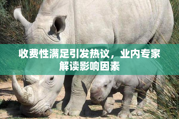 收费性满足引发热议，业内专家解读影响因素