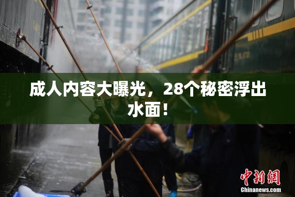 成人内容大曝光，28个秘密浮出水面！