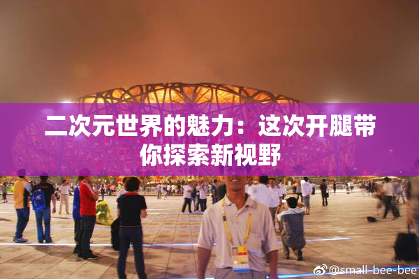 二次元世界的魅力：这次开腿带你探索新视野