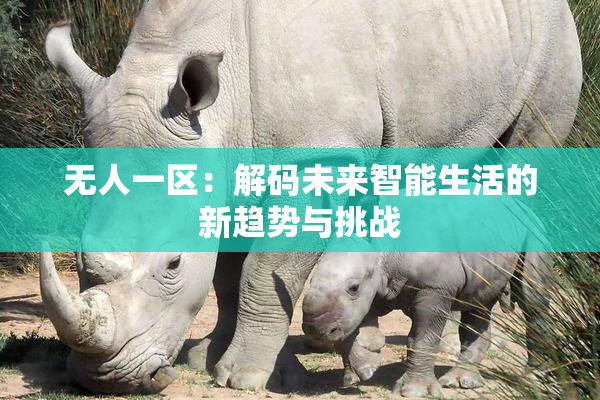 无人一区：解码未来智能生活的新趋势与挑战
