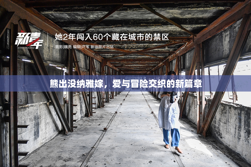 熊出没纳雅嫁，爱与冒险交织的新篇章
