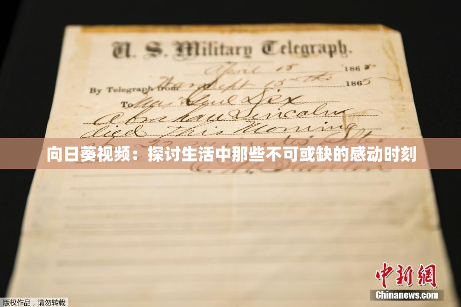 向日葵视频：探讨生活中那些不可或缺的感动时刻