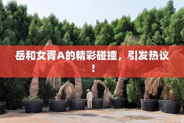 岳和女胥A的精彩碰撞，引发热议！