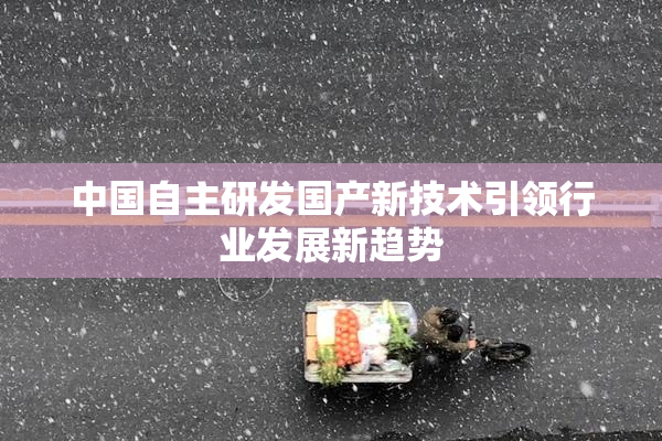 中国自主研发国产新技术引领行业发展新趋势