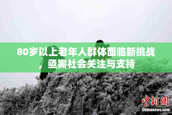 80岁以上老年人群体面临新挑战，亟需社会关注与支持