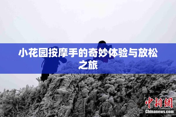 小花园按摩手的奇妙体验与放松之旅