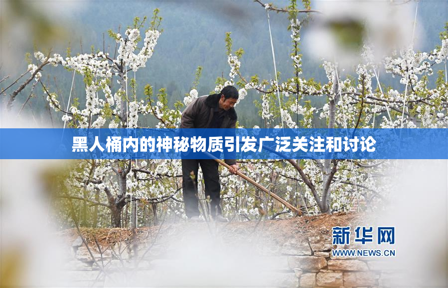 黑人桶内的神秘物质引发广泛关注和讨论