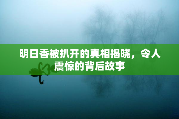 明日香被扒开的真相揭晓，令人震惊的背后故事