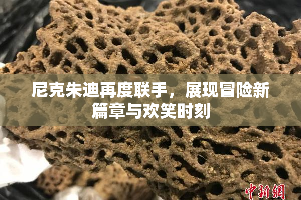 尼克朱迪再度联手，展现冒险新篇章与欢笑时刻