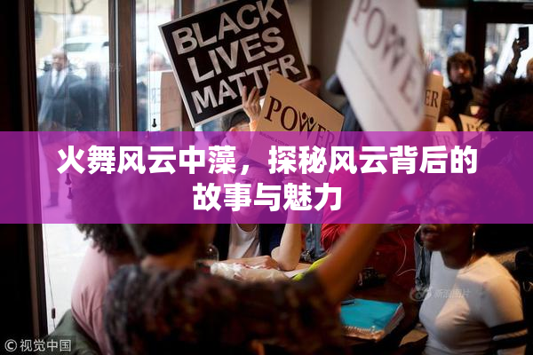 火舞风云中藻，探秘风云背后的故事与魅力