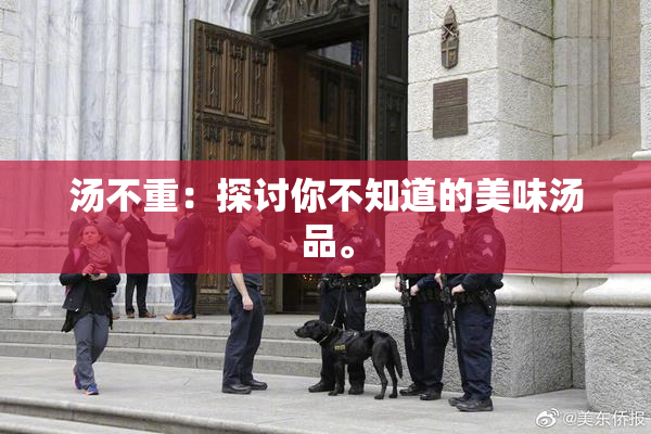 汤不重：探讨你不知道的美味汤品。