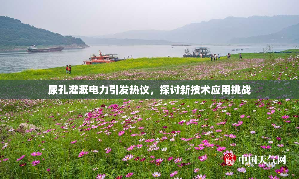 尿孔灌溉电力引发热议，探讨新技术应用挑战