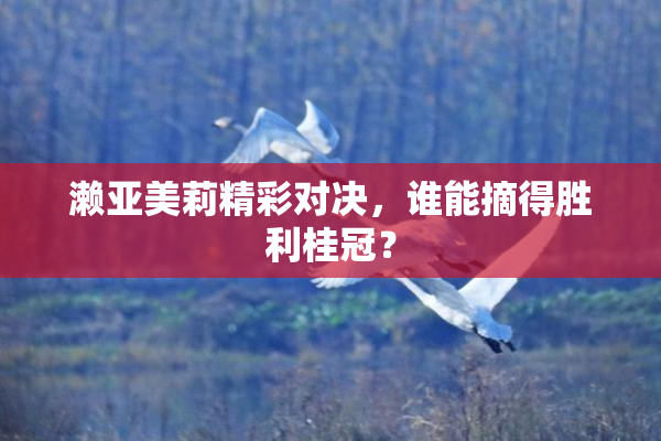 濑亚美莉精彩对决，谁能摘得胜利桂冠？
