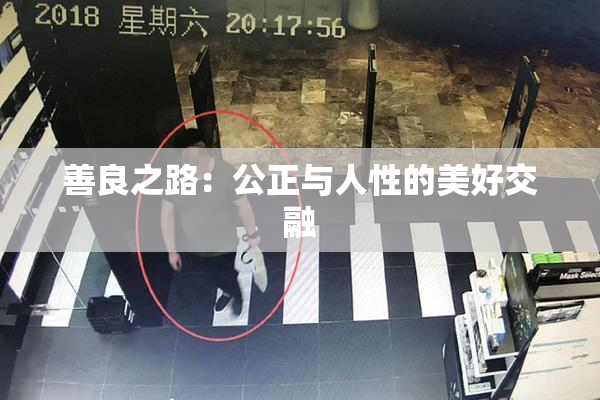 善良之路：公正与人性的美好交融