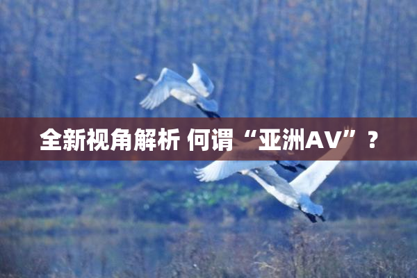 全新视角解析 何谓“亚洲AV”？