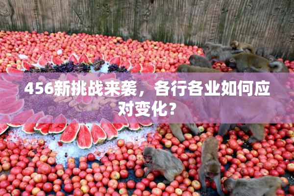 456新挑战来袭，各行各业如何应对变化？