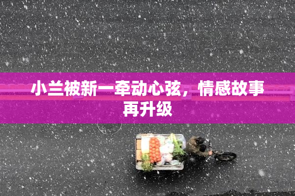 小兰被新一牵动心弦，情感故事再升级