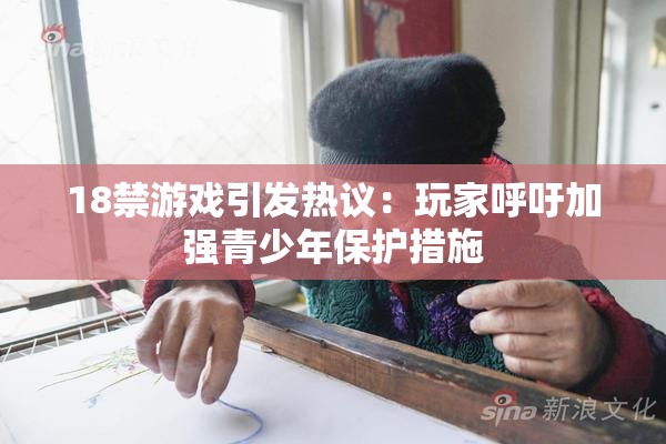 18禁游戏引发热议：玩家呼吁加强青少年保护措施