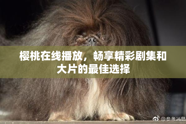 樱桃在线播放，畅享精彩剧集和大片的最佳选择