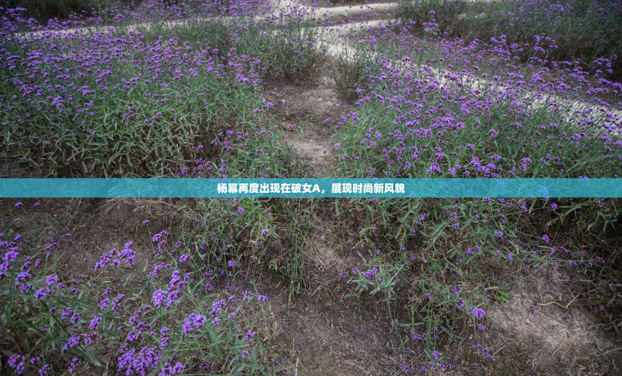 杨幂再度出现在破女A，展现时尚新风貌