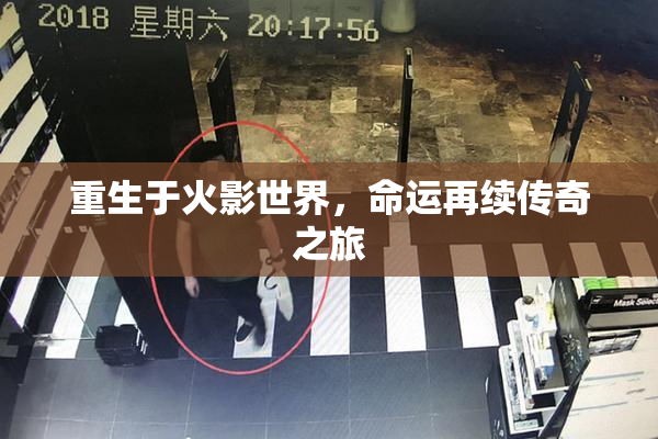重生于火影世界，命运再续传奇之旅