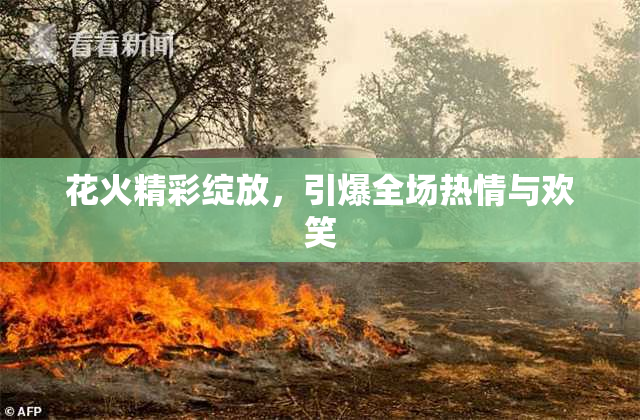 花火精彩绽放，引爆全场热情与欢笑