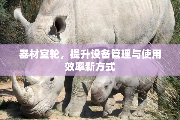 器材室轮，提升设备管理与使用效率新方式