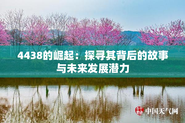 4438的崛起：探寻其背后的故事与未来发展潜力