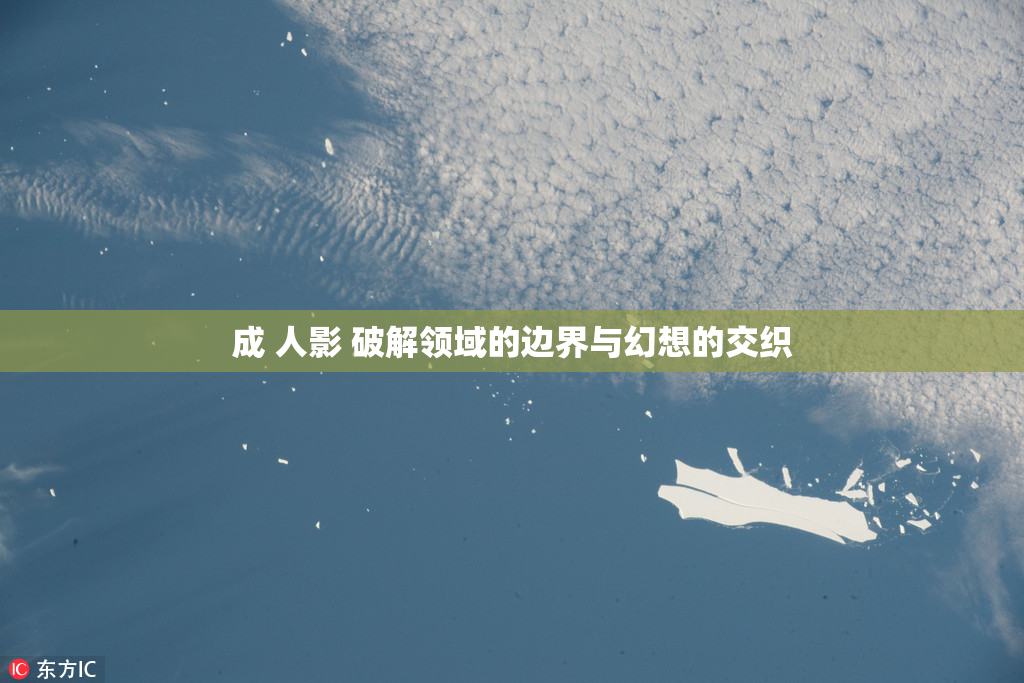 成 人影 破解领域的边界与幻想的交织