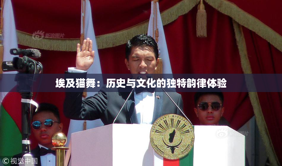 埃及猫舞：历史与文化的独特韵律体验