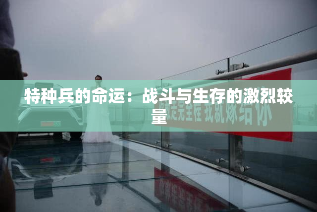 特种兵的命运：战斗与生存的激烈较量