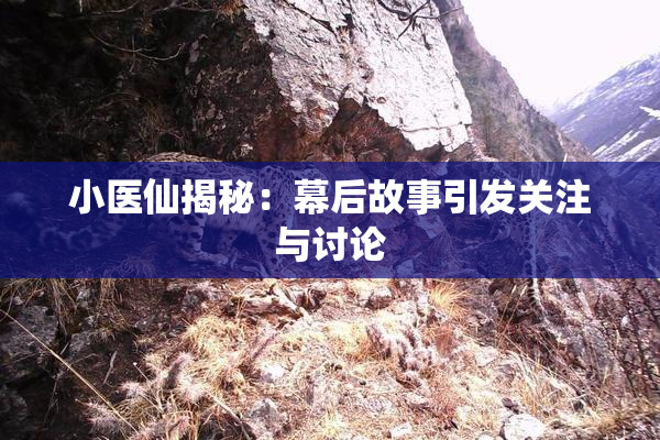 小医仙揭秘：幕后故事引发关注与讨论