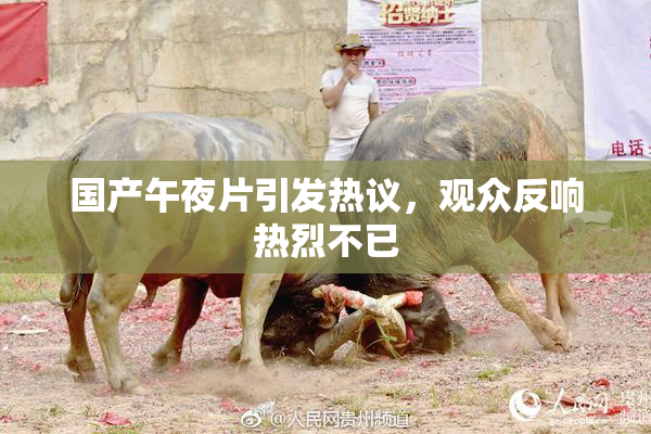 国产午夜片引发热议，观众反响热烈不已