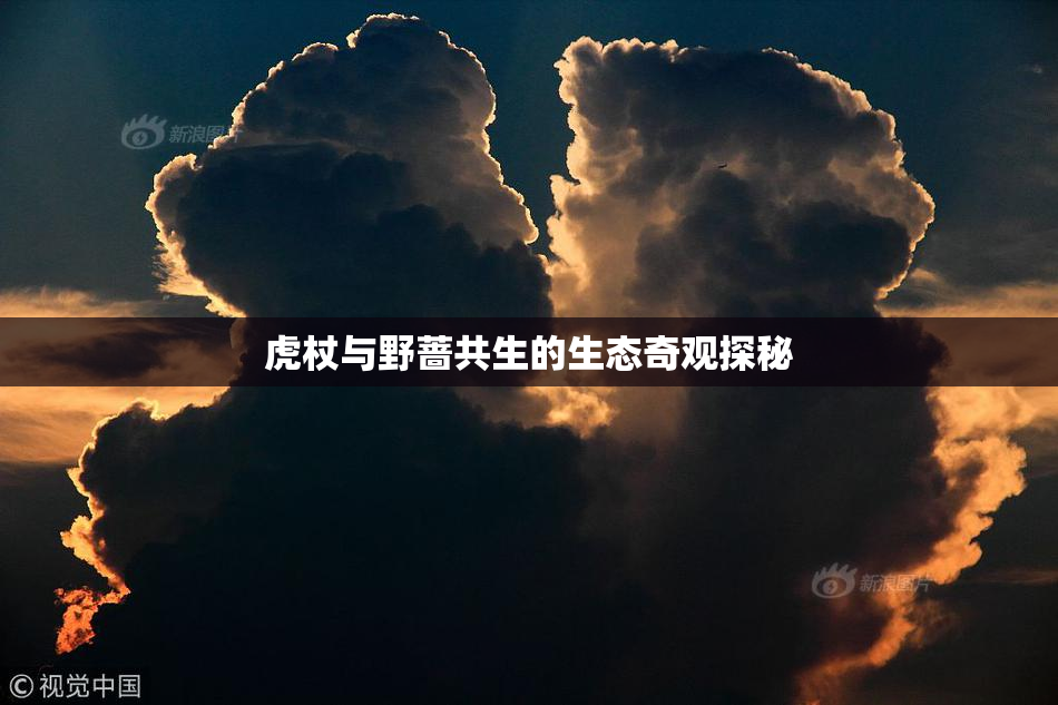 虎杖与野蔷共生的生态奇观探秘