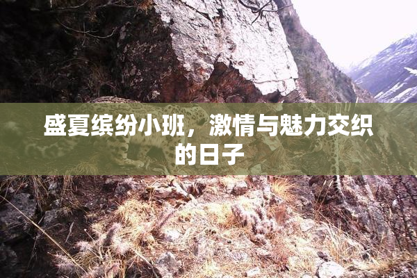 盛夏缤纷小班，激情与魅力交织的日子