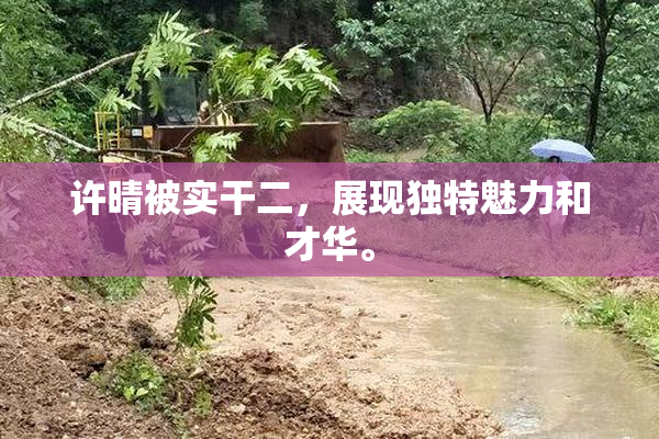 许晴被实干二，展现独特魅力和才华。