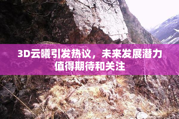 3D云曦引发热议，未来发展潜力值得期待和关注