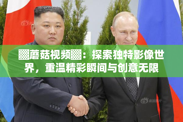 ▓蘑菇视频▓：探索独特影像世界，重温精彩瞬间与创意无限