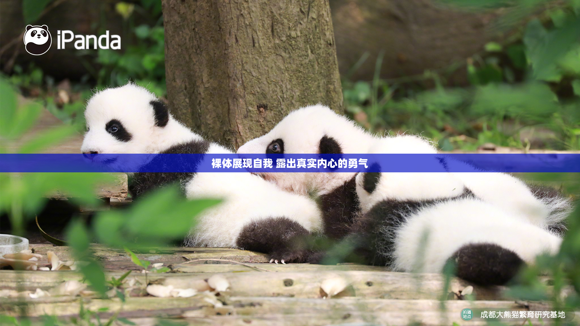 裸体展现自我 露出真实内心的勇气