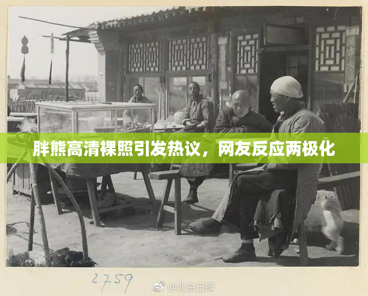 胖熊高清裸照引发热议，网友反应两极化