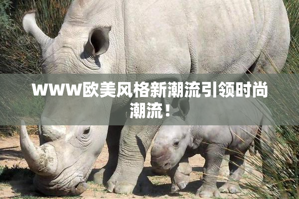 WWW欧美风格新潮流引领时尚潮流！