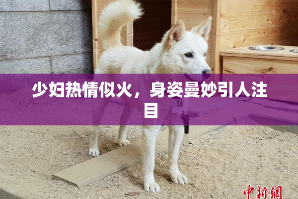 少妇热情似火，身姿曼妙引人注目