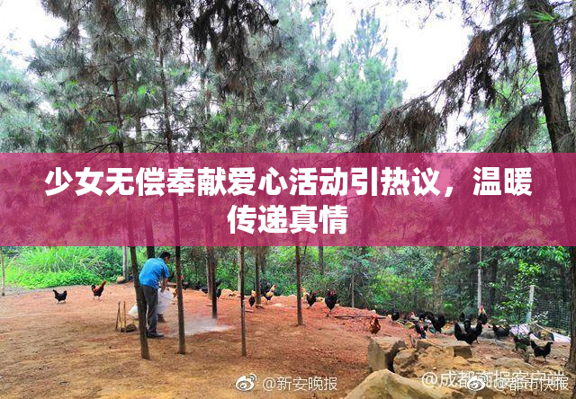 少女无偿奉献爱心活动引热议，温暖传递真情