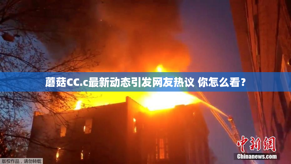 蘑菇CC.c最新动态引发网友热议 你怎么看？