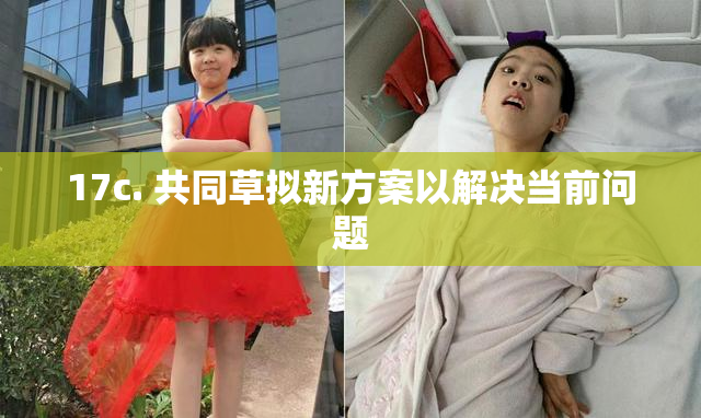 17c. 共同草拟新方案以解决当前问题
