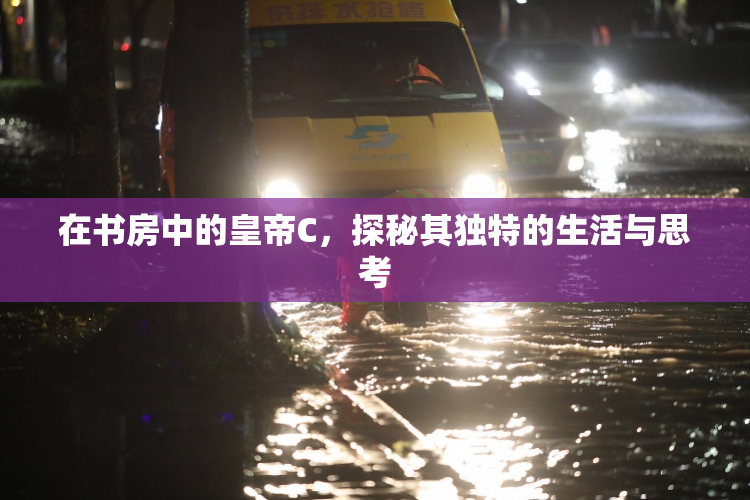 在书房中的皇帝C，探秘其独特的生活与思考