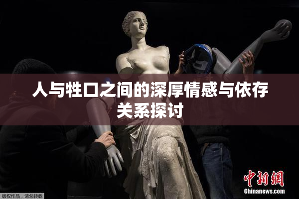 人与牲口之间的深厚情感与依存关系探讨
