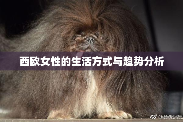 西欧女性的生活方式与趋势分析