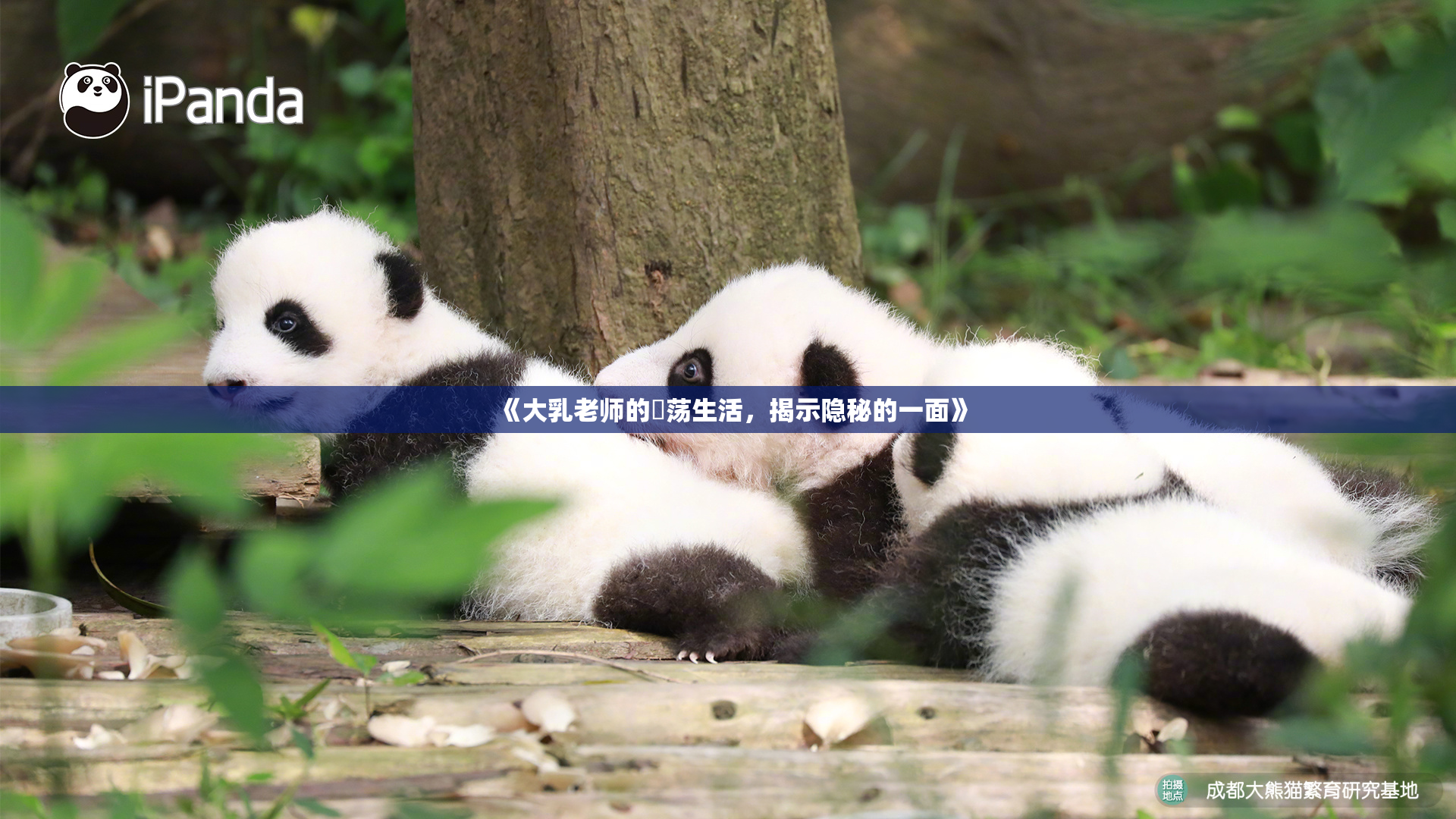 《大乳老师的婬荡生活，揭示隐秘的一面》